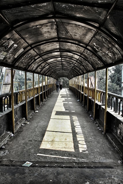 Appreciating Bangladeshi Literature: Journey Through Poetic Heritage