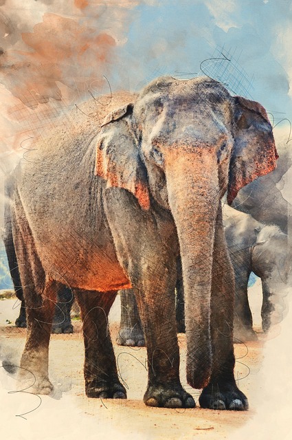 bangladesh vs sri lanka