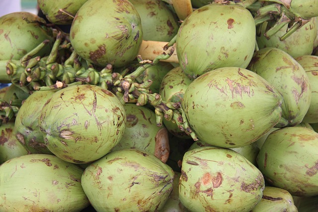 Brazilian Brands & City Stores: Week’s Most Anticipated Openings