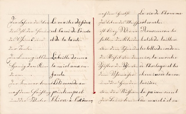 Master Translation Software Selection for Your Needs