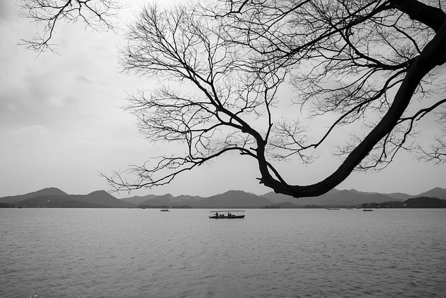 west indies vs pakistan